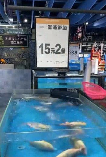 2 条 15 元！广东一超市卖“仰泳鲈鱼”，商家回应 - 1