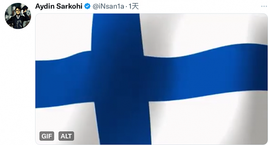 iNSaNiA推特发布芬兰国旗 疑似暗示新队员国籍 - 1