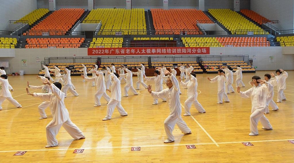 在家就能学拳：广东省老年人太极拳（网络）培训班开班 - 1