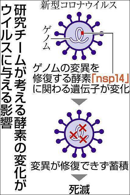 日本新冠病毒感染数大幅下降原因成谜，是病毒自杀了吗？ - 3