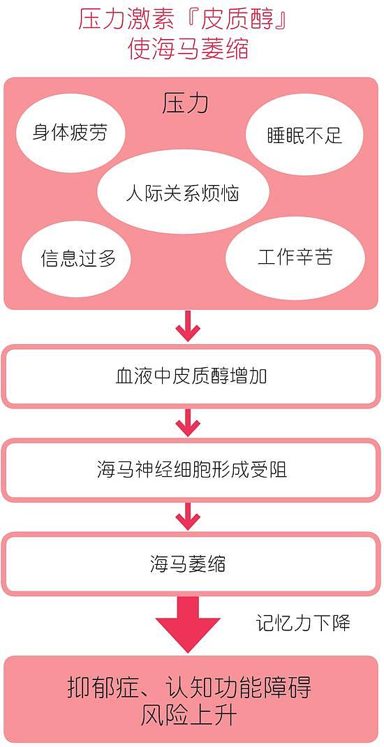 压力加速大脑萎缩？睡眠不足也会提高认知功能障碍的风险！ - 3