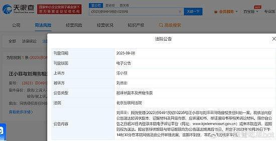 汪小菲告网友侵权 案件将于 10 月公开审理 - 1