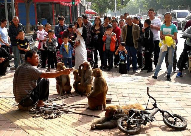 23年前，湖南女子生下重2斤的“小猴子”，马戏团出价5万求购被拒 - 16