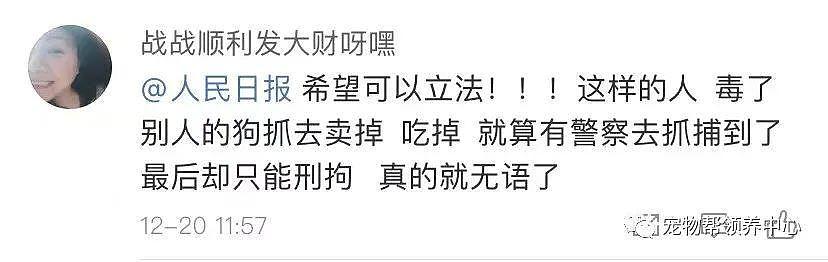 狗狗中毒后跑到派出所门口躲避，却仍没逃过偷狗贼，最后警察为它讨回公道 . - 22