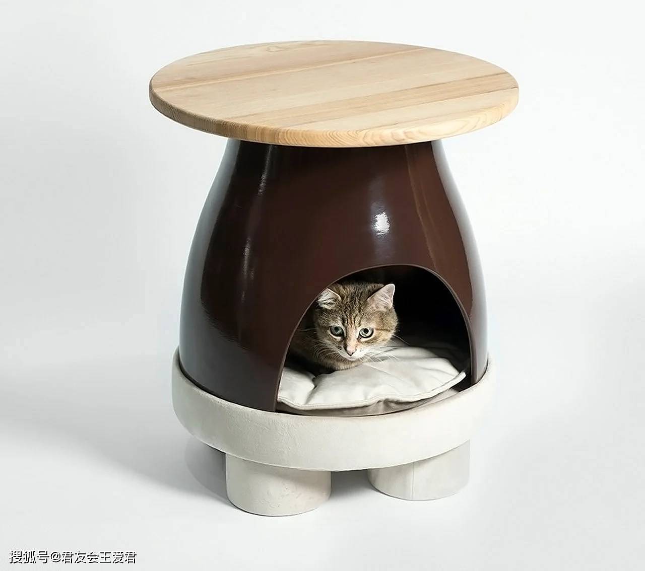专才资源第15期-产品设计-宠物猫之家咖啡桌 - 2