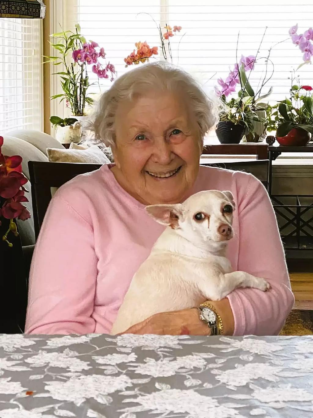 百岁老人领养了一只 11 岁狗狗，相处了一年后 ... 幸福得在发光！ - 1
