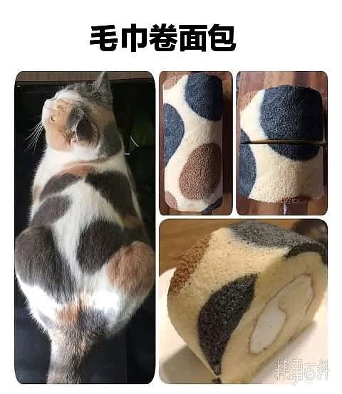 关于猫面包：