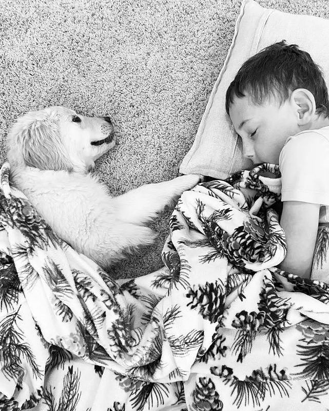 三脚狗狗鼓励4岁残疾男孩，同病相怜他们成为了最佳搭档 - 2