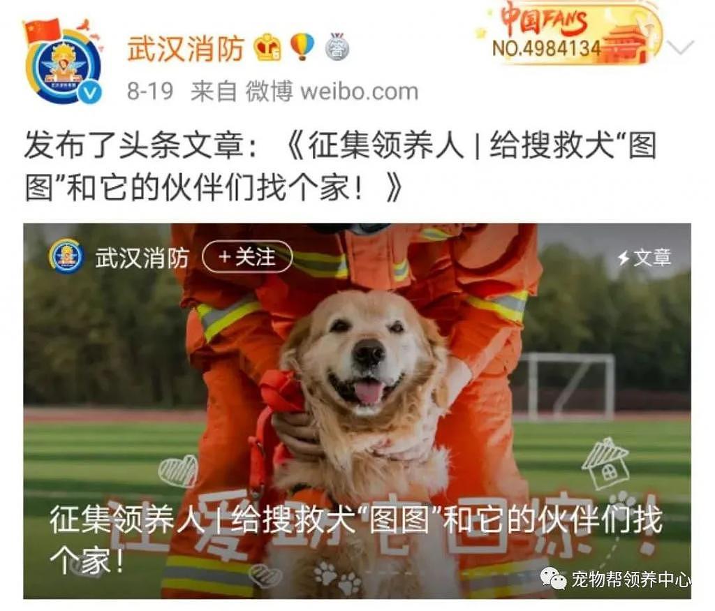 网友匿名挑衅 @中国消防：所有退役搜救犬都应该卖给狗肉店！ - 7