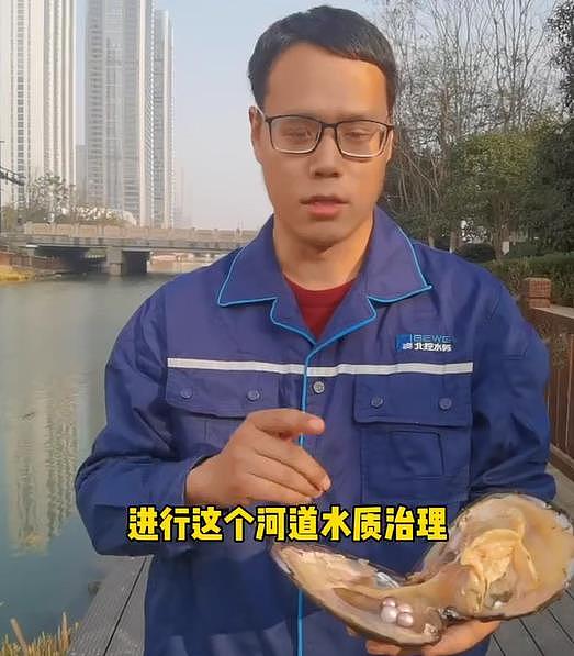 杭州用河蚌治理水道，掰开后发现拇指大的珍珠，网友，不怕被偷？ - 2