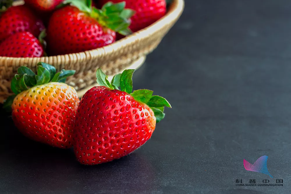 吃草莓会导致出血热？这种传染病进入高发区，严重可致命 - 7