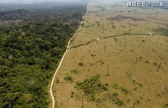 中国沙漠变森林！巴西雨林恐要变草原：极端天气根源已找到？ - 9