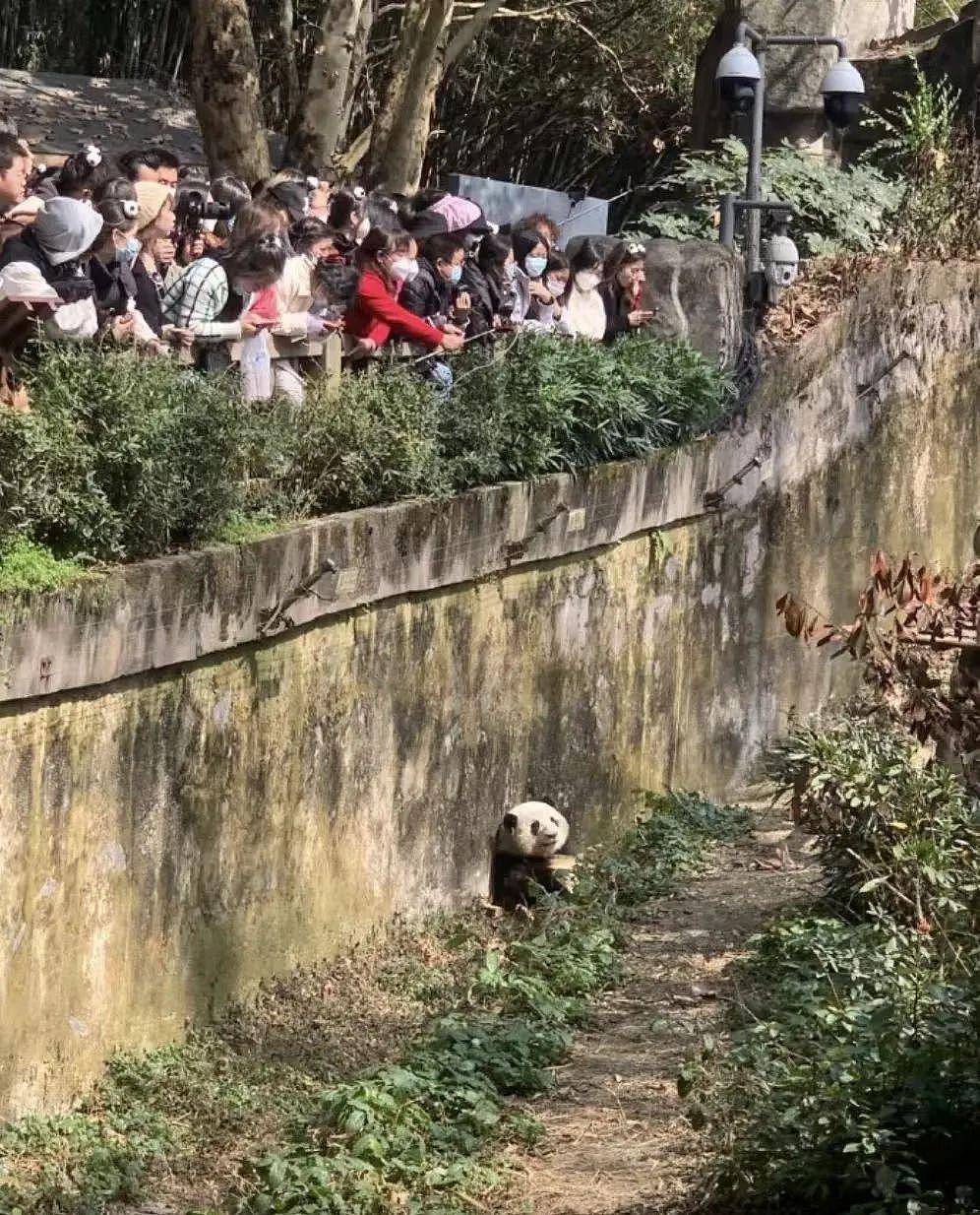 川籍女明星的颜值有多高，看她就知道了 - 13