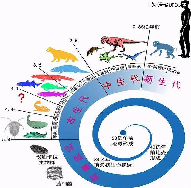6500万年前恐龙灭绝了，人类历史不过百万年，空白期发生了什么？ - 4