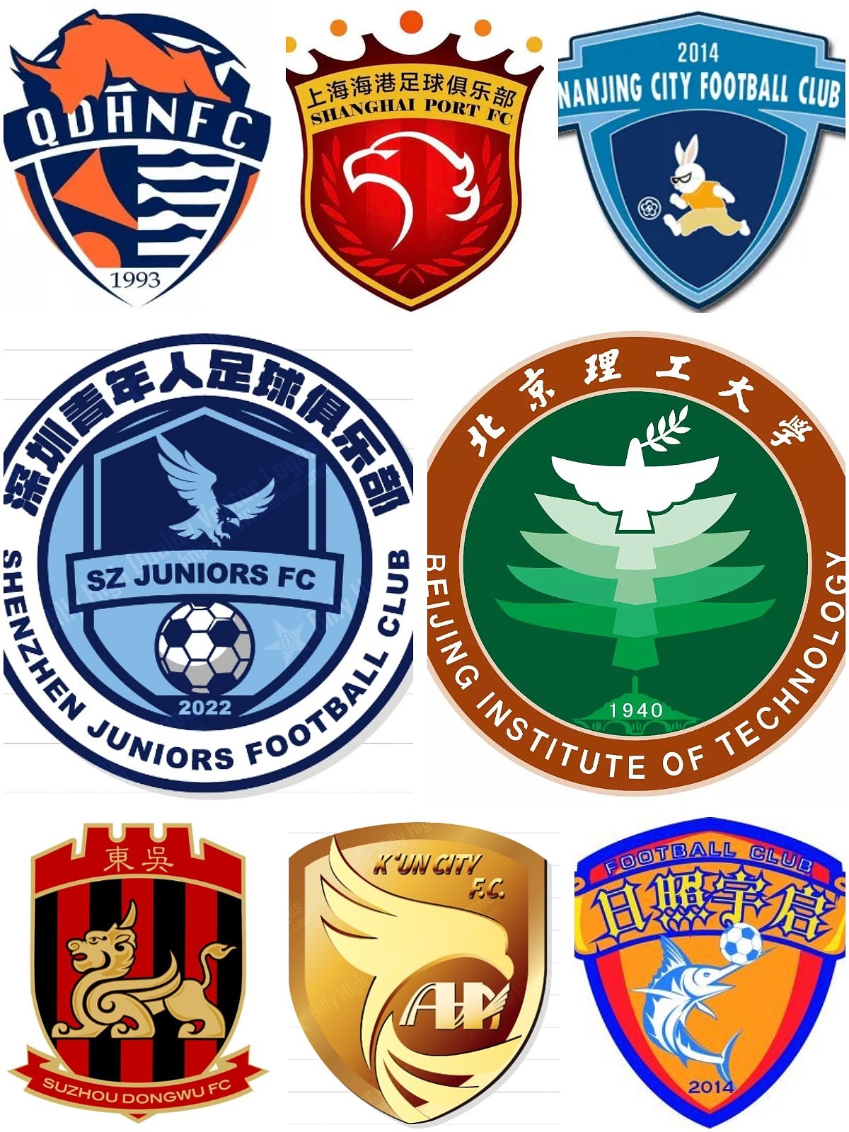 中国足坛的队徽队名，好像一个巨大的动物园 - 9