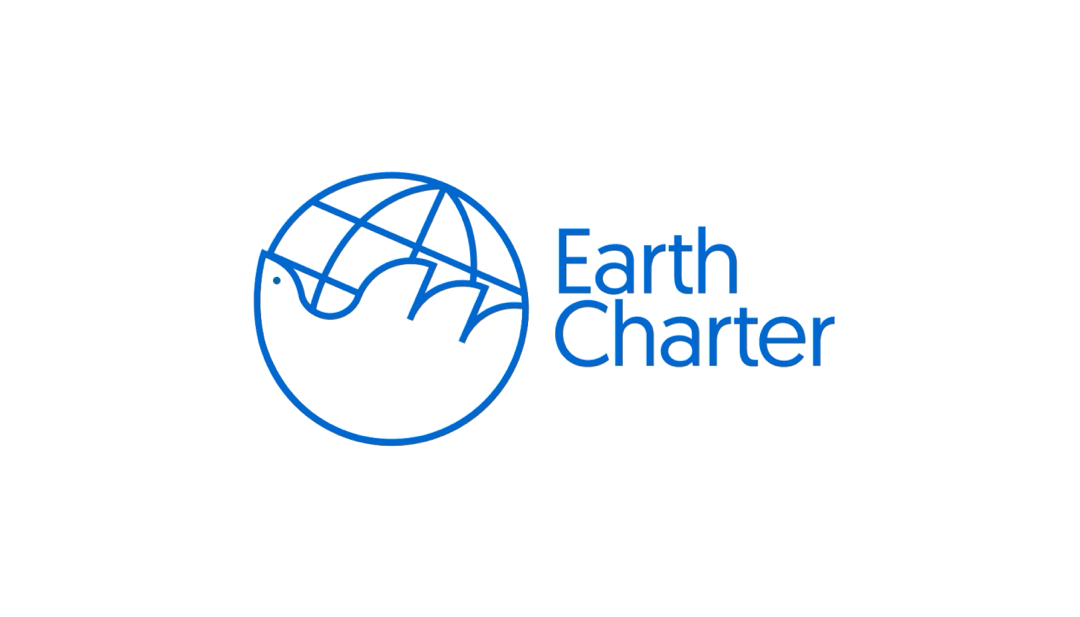 地球宪章Earth Charter品牌视觉设计 - 3