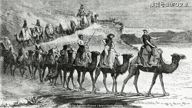 为消灭120万骆驼，人类在驼群中安插叛徒，叛徒却选择了保护骆驼 - 8