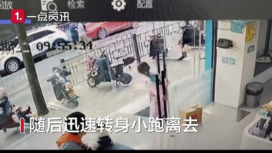 猫咪骨折后被遗弃在宠物店门口，店员将猫咪收养：善良的人就该被道德绑架？ - 3