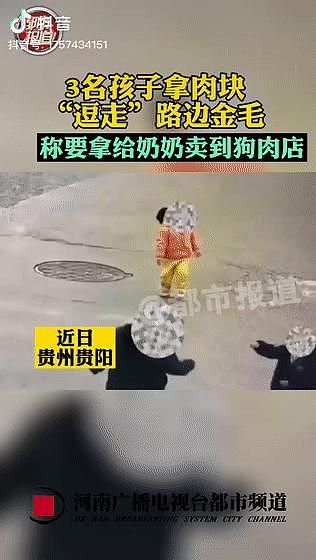 金毛被三个小孩“逗走”，主人看监控找到后小孩说：把狗狗带过去给奶奶卖到狗肉馆 . - 3