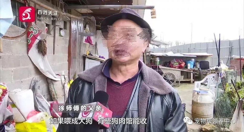 金毛被三个小孩“逗走”，主人看监控找到后小孩说：把狗狗带过去给奶奶卖到狗肉馆 . - 14