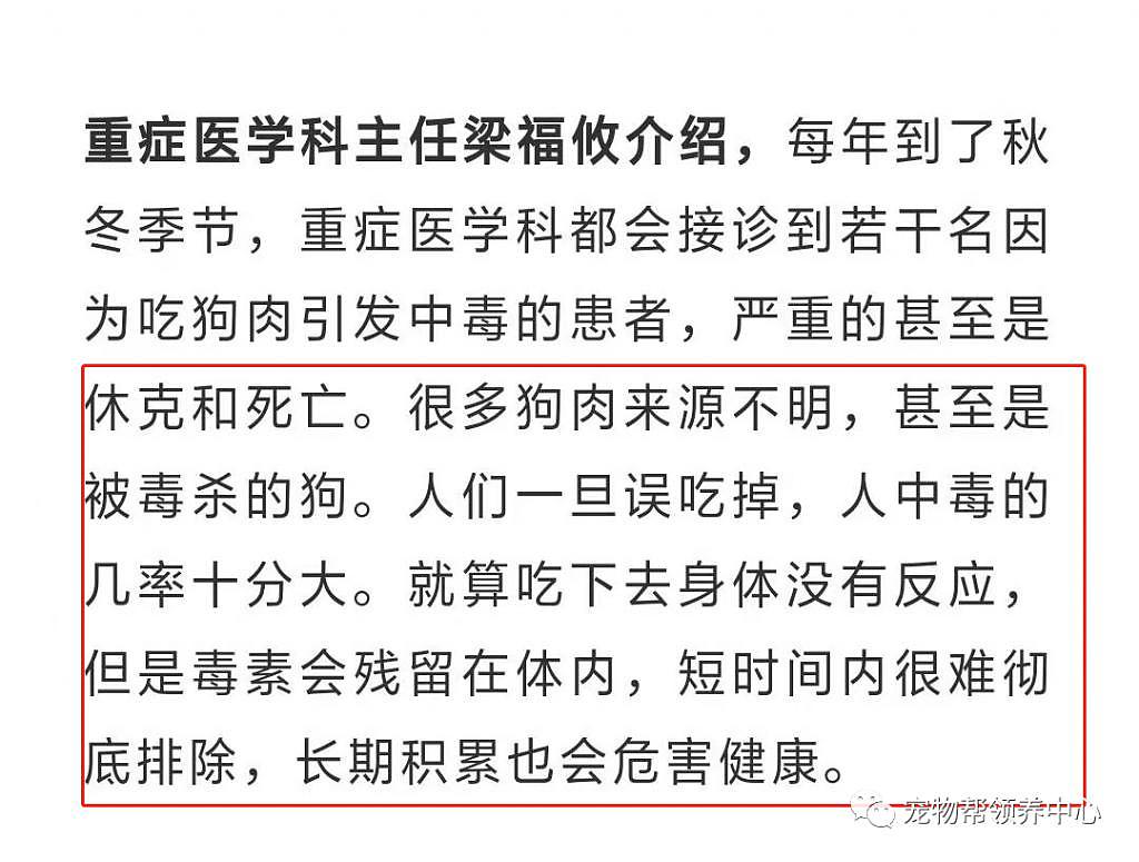 狗狗中毒后跑到派出所门口躲避，却仍没逃过偷狗贼，最后警察为它讨回公道 . - 26