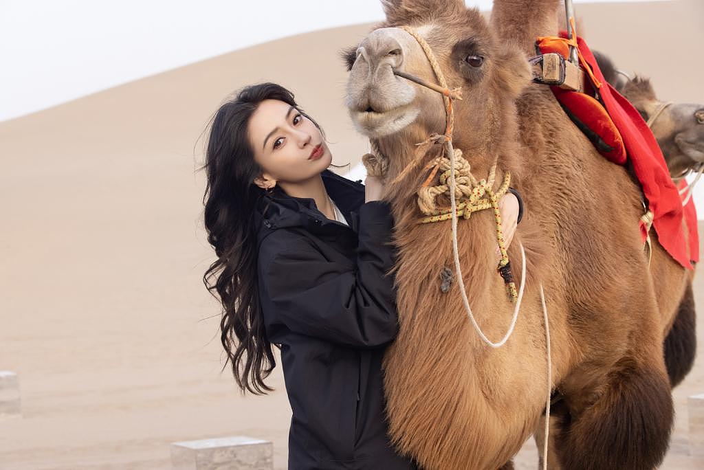 杨颖现身沙漠参加活动 与骆驼贴贴笑容甜美 - 2