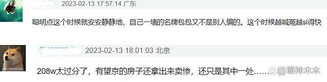 王丽坤好友承认其老公诈骗，曝王丽坤仅有一套北京房产 - 12