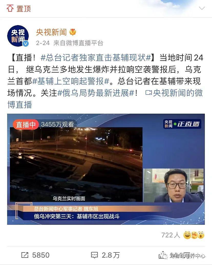 硝烟之下的乌克兰人带着宠物避难：无论发生什么，我都不会抛弃你！ - 1