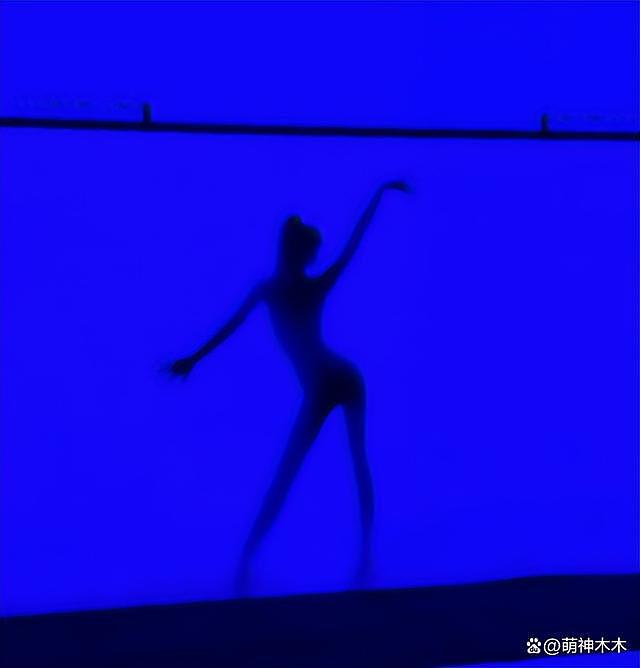 Lisa 晒性感舞蹈视频疑为疯马秀预热，身材曲线一览无余 - 6