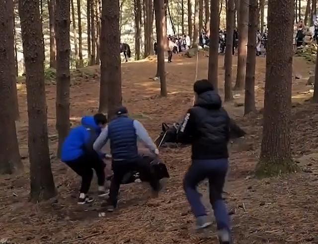 韩古装剧陷虐马致死争议，马匹被绊倒狠摔在地，片场视频曝光 - 5