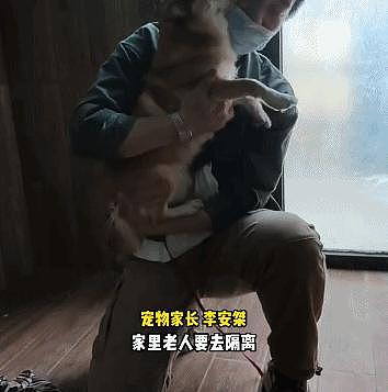 隔离结束，240 只宠物收获“抗疫小英雄”证书回家了，大北京真的太暖了…… - 13