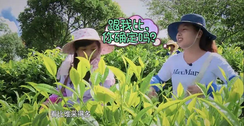 逼疯女明星？这节目活该被封杀！ - 22