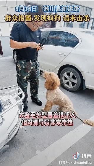 市民举报说楼道里有恶犬扰民，民警赶到后发现恶犬有点萌，反手就给它找了个家 . - 14