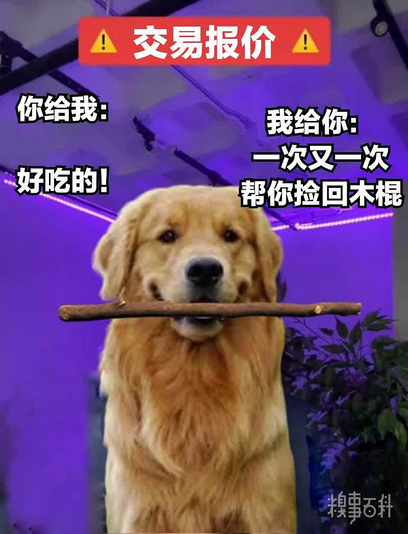 请问可以和我做一场交