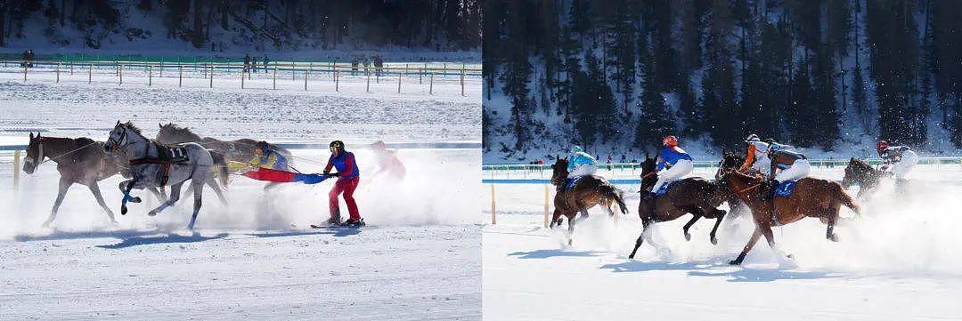 奔马滑雪、狗拉雪橇……这些项目竟然进过冬奥会 - 2