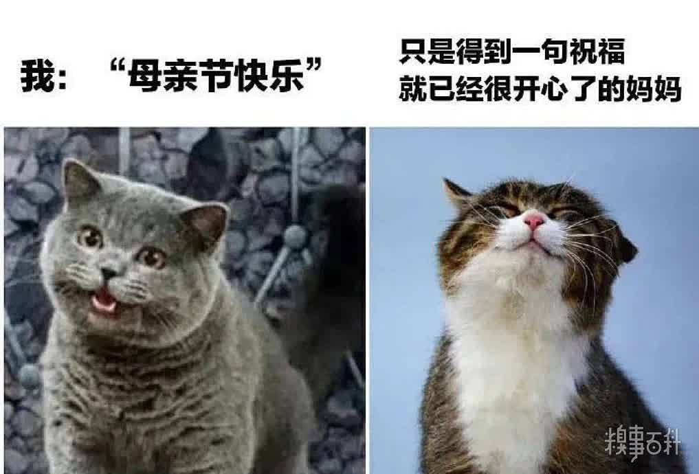 泪奔，真的好爱妈妈，