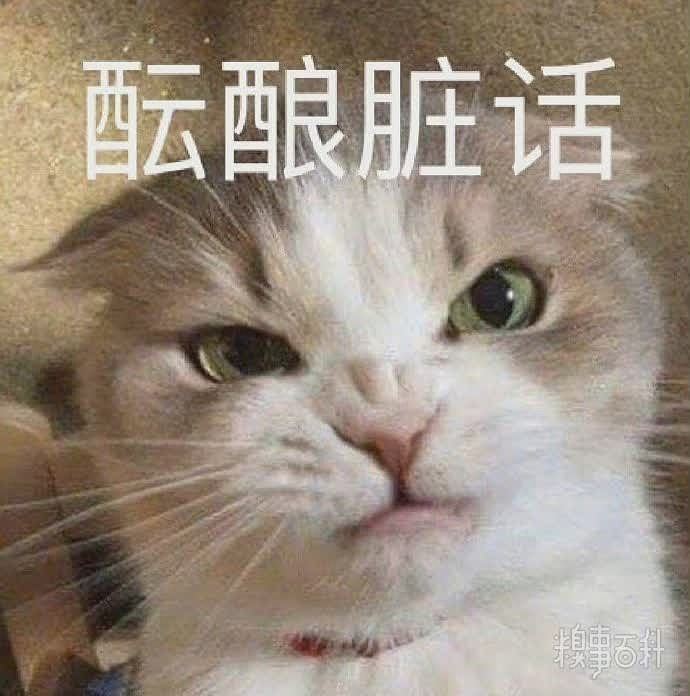 可爱小猫表情包