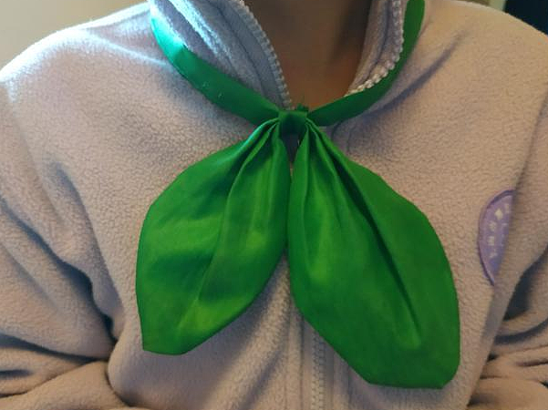 学校要求小学生佩戴“绿领巾”，引发网络讨论热潮，校方进行回应 - 3