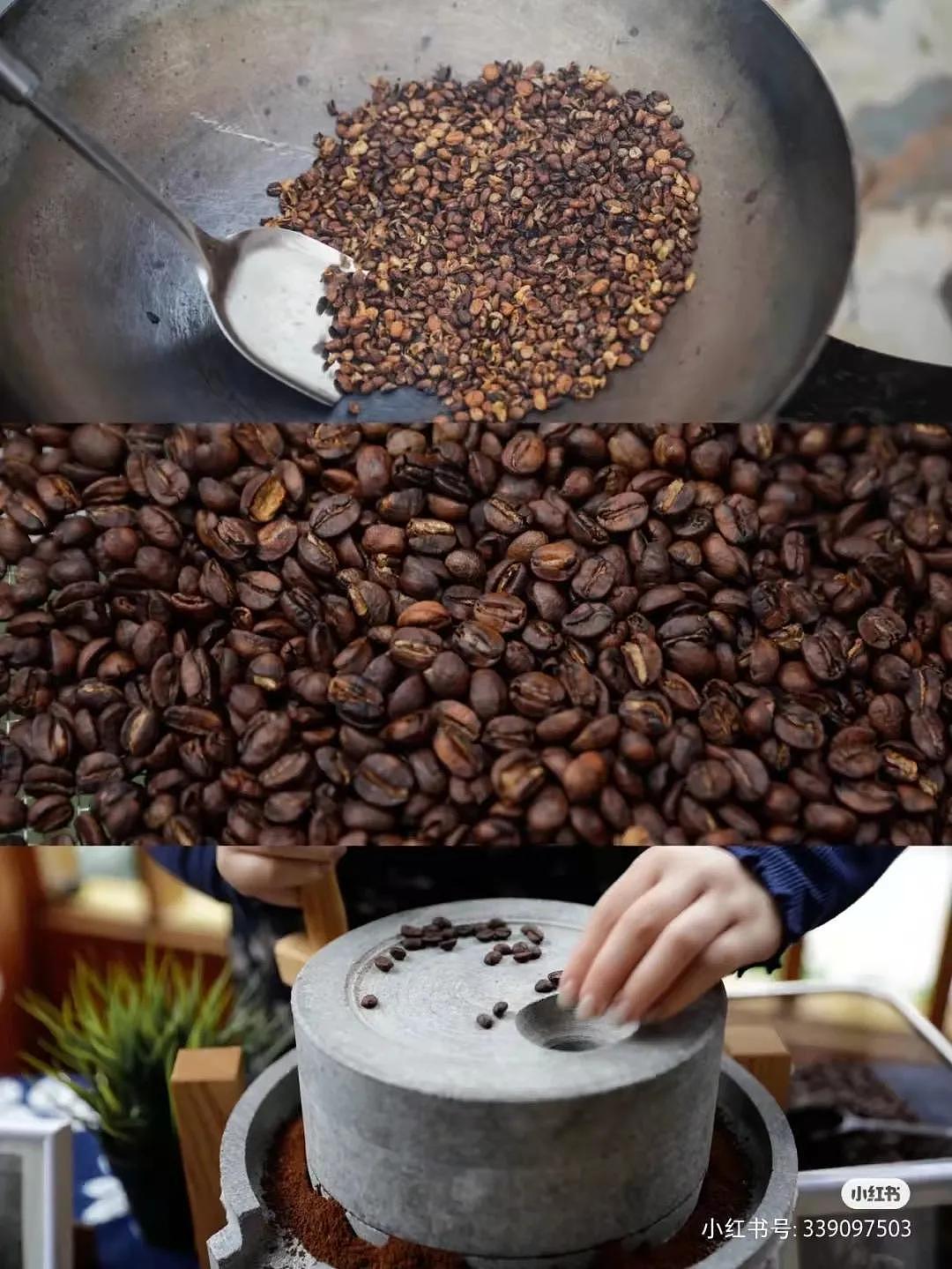 云南百年古村！存续着中国最古老的咖啡文化，百年咖啡林美如仙境 - 5