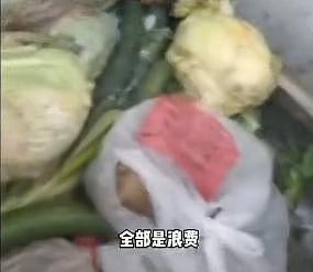 上海称辽宁捐赠蔬菜腐烂才扔垃圾桶？辽宁：冷链运输，菜品新鲜完好 - 14