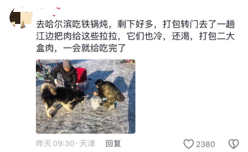 网友发现雪橇犬累到瘦嶙峋立马举报，官方迅速“取缔”，可有些人不乐意了… - 6