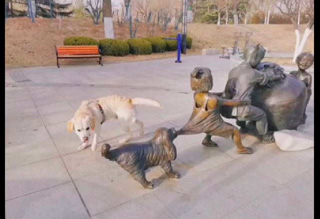 公园的雕塑在推坛子，狗狗误以为真也跑到后面帮忙拉，傻不傻呀！ - 1