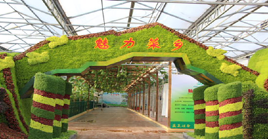 山东省潍坊市寿光市是冬暖式蔬菜大棚的发祥地，是国务院命名的“中国蔬菜之乡”。 （图片来源：求是网）