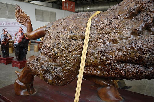 根雕工厂雕刻巨型根雕，300万嫌低拒售，如今废弃在工厂无人问津 - 5