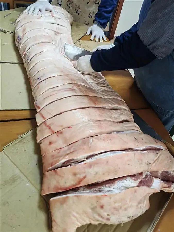 居民团购的 170 多斤整猪没人分？上海七旬解剖学教授上场了…​ - 1