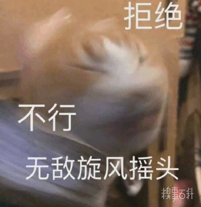 可爱小猫表情包