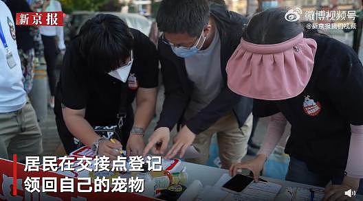 隔离结束，240 只宠物收获“抗疫小英雄”证书回家了，大北京真的太暖了…… - 15