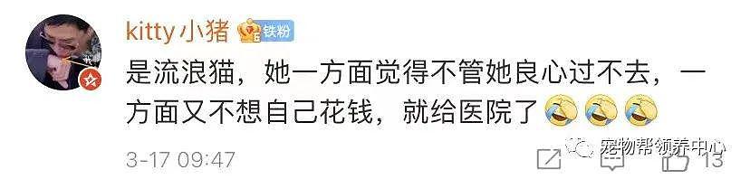 猫咪骨折后被遗弃在宠物店门口，店员将猫咪收养：善良的人就该被道德绑架？ - 16