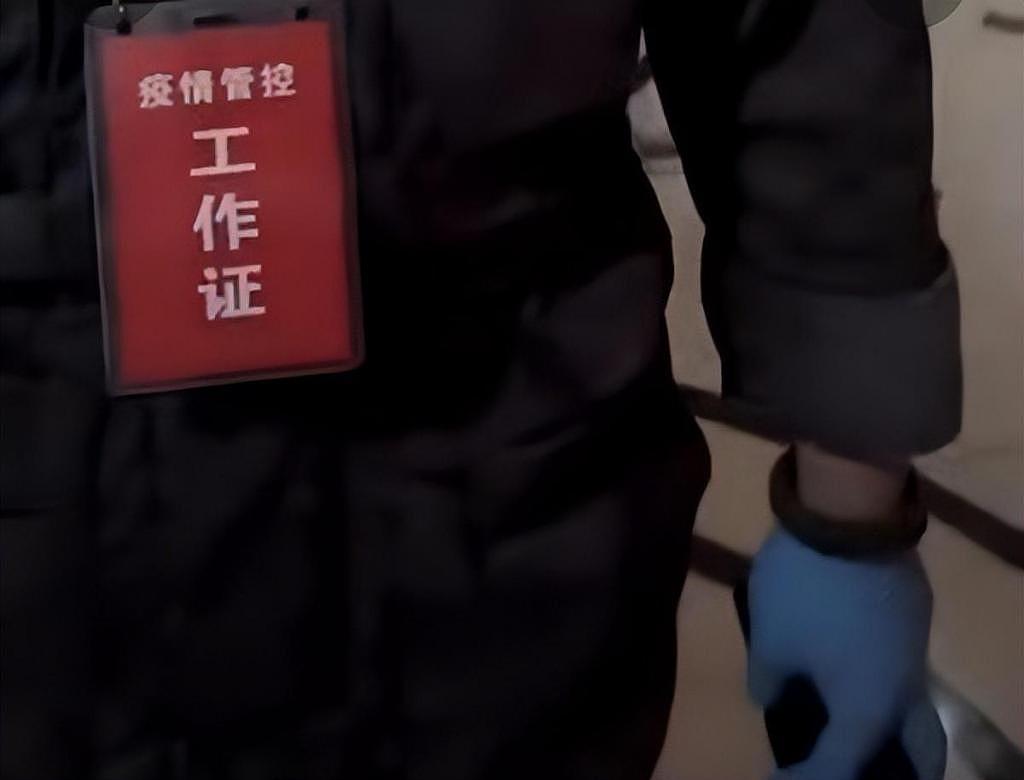 上海一孕妇因团购鸡蛋被志愿者举报，深夜写保证书？当事人：已和解 - 2
