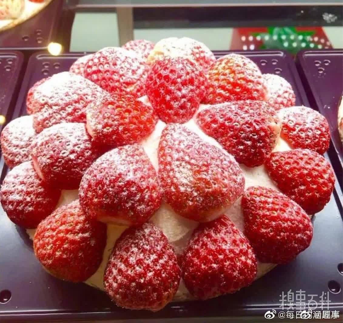 这草莓蛋糕也太实诚了